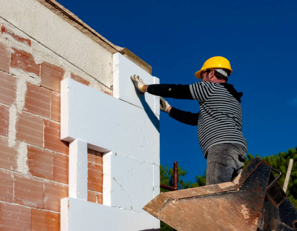 Best Insulation Maintenance and Repair in Vero Lake Estates, FL