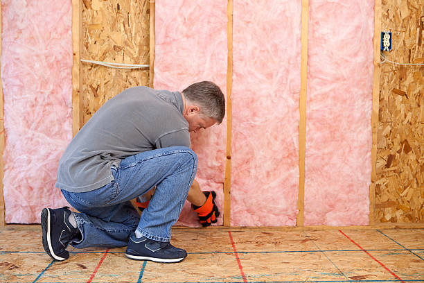 Best Residential Insulation in Vero Lake Estates, FL