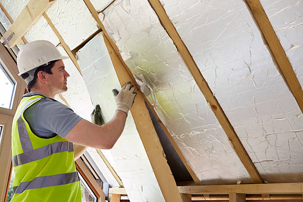Best Geographic-Specific Insulation Services in Vero Lake Estates, FL